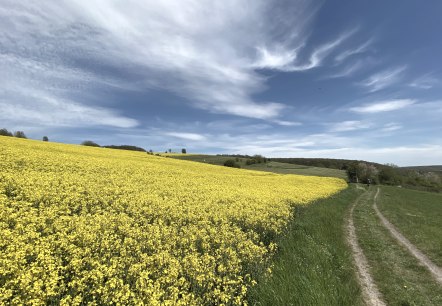 Eifellandschaft Niederdürenbach, © Christof Bürger