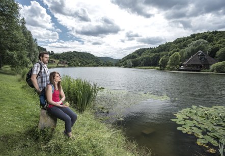 riedener-seeblick_waldsee-rieden-15-klein_1, © Kappest/REMET