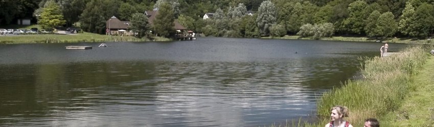 Waldseepfad Rieden Waldsee Blick auf Waldsee, © Kaapest/Remet