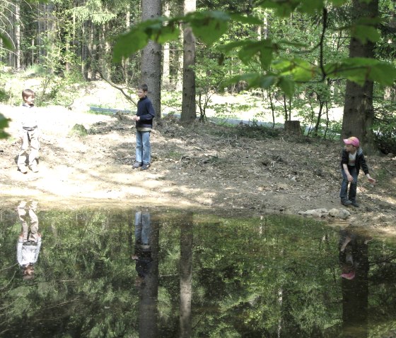 Kinder im Wald, © TI Vulkanregion Laacher See