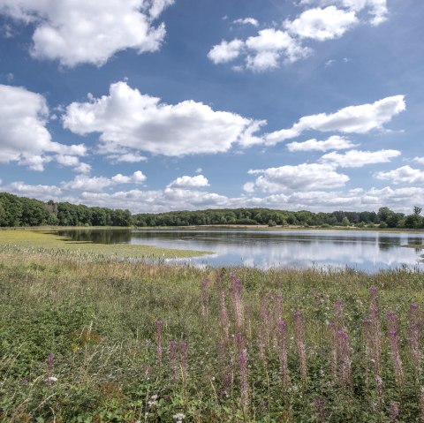 Osteifelweg Etappe Engeln nach Bad Neuenahr, © Vulkanregion Laacher See, Kappest