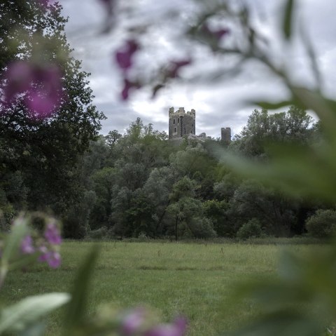 Kasteelruïne Wernerseck, © Kappest/VG Pellenz