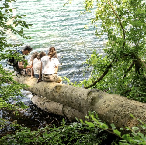 Relaxen am Laacher See, © Eifel Tourismus GmbH, Dominik Ketz