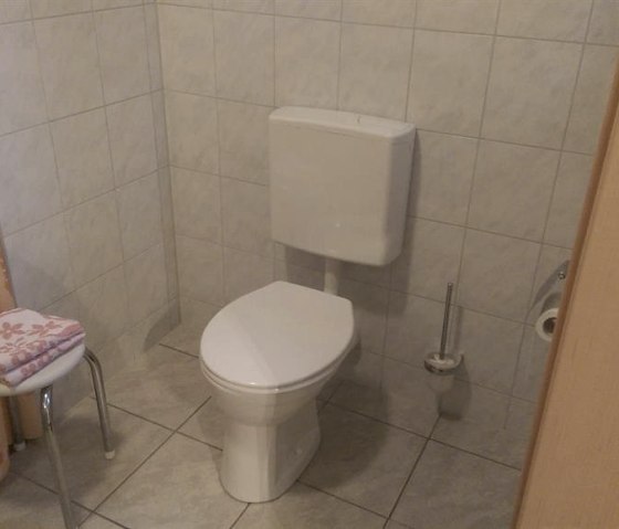 Toilette DZ