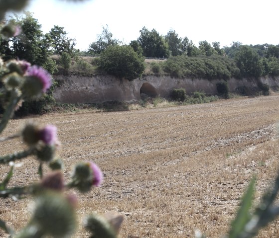 Landschaftsdenkmal "Krufter Bachtal", © VG Pellenz/Manea