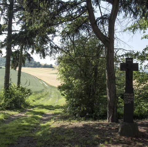 Cache Laachus gedenkt!, © Kappest/Vulkanregion Laacher See