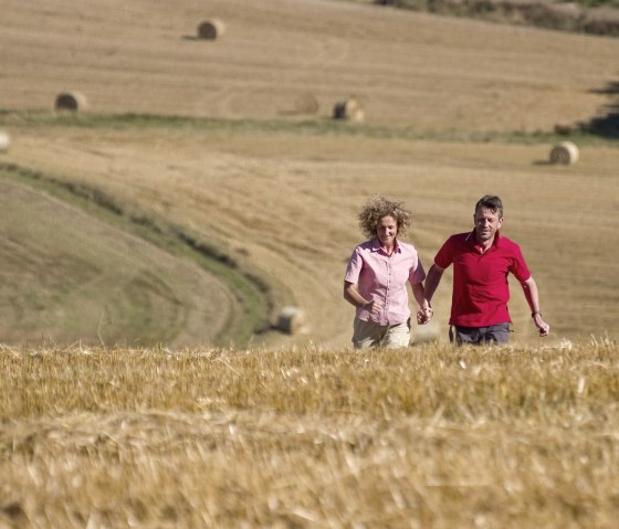 Die Felder bei Wanderath, © Traumpfade/Kappest