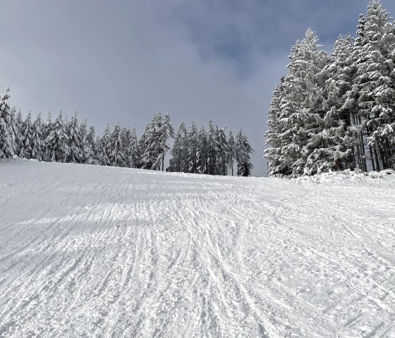 Winterimpression "Ski u. Rodelgebiet Arft"