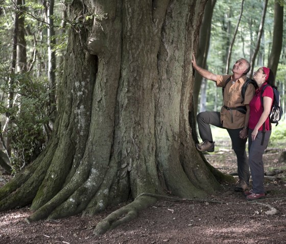 Vier-Berge-Tour, © Traumpfade/Kappest