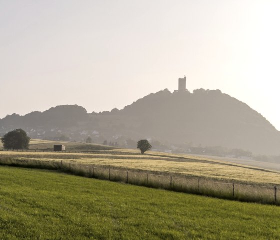 6. Station - Fernsicht auf Burg Olbrück, © Kappest/Vulkanregion Laacher See