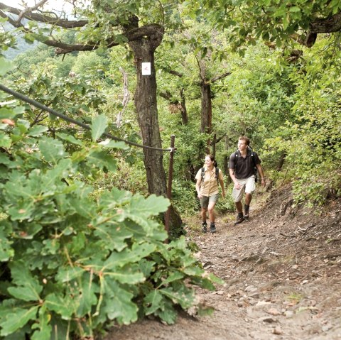 Rheinburgenweg, © Dominik Ketz / Romantischer Rhein Tourismus GmbH