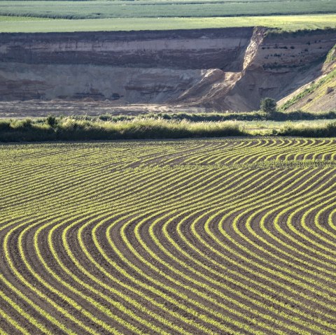 Aardappelveld, © Kappest/VG Pellenz