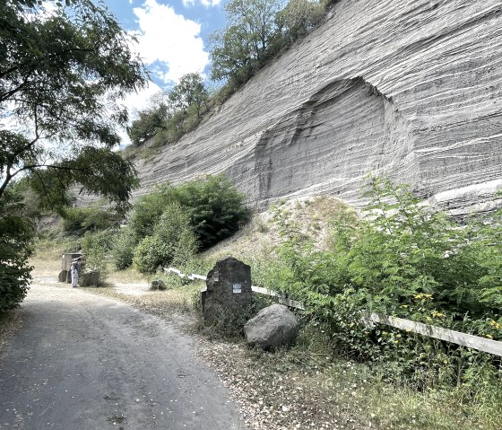 Landschaftsdenkmal "Wingertsbergwand", © Kappest/Vulkanpark GmbH