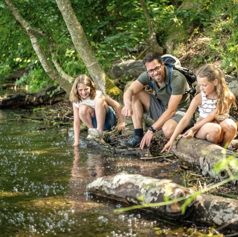 Pellenzer Seepfad Laacher See - Mofetten, © Eifel Tourismus GmbH, Dominik Ketz